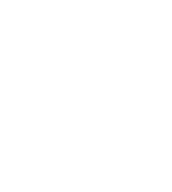 Servicio especializado